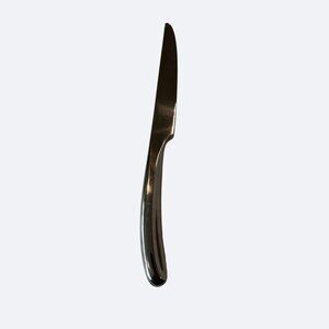 Ralph Lauren Modernistic Atlantique1994 Dinner Knife Stainless Steel